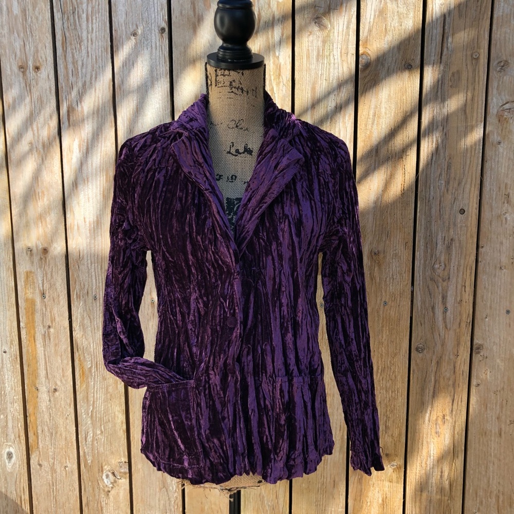 VINTAGE CONCORD GRAPE CRUSHED VELVET BLAZER  👾